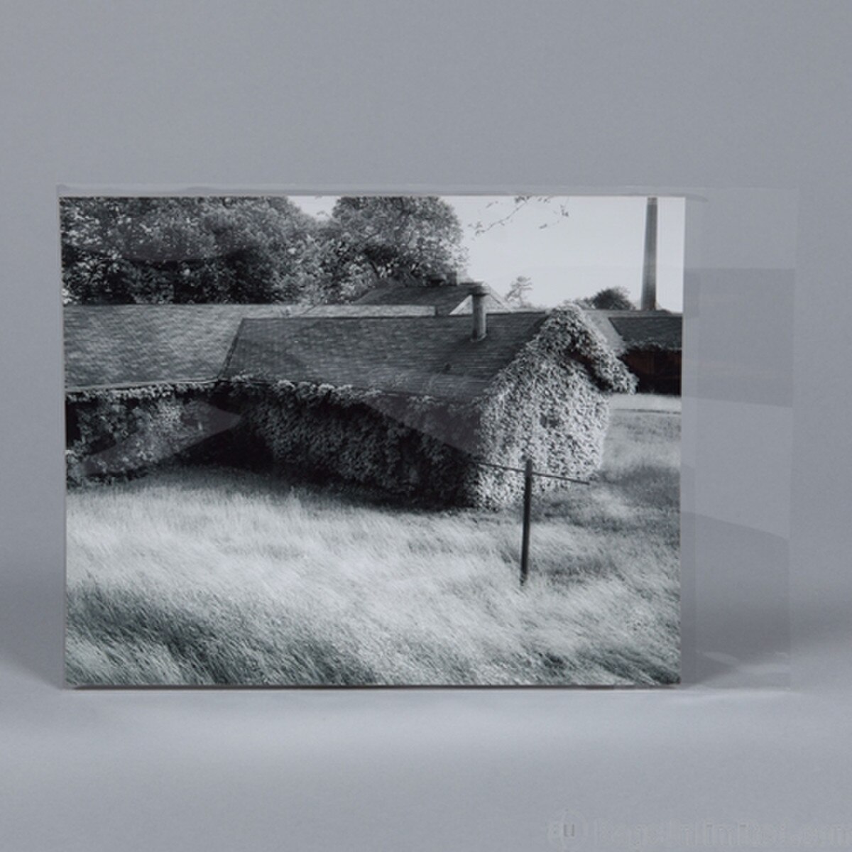 8 x 10 Still Polypropylene Sleeve